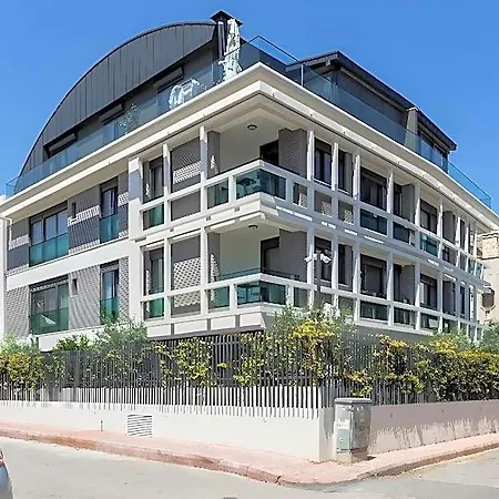 Z-suites