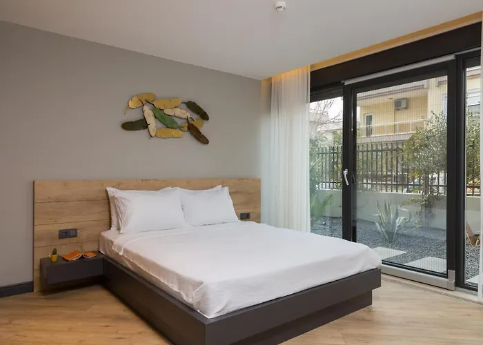 Z-suites 4*