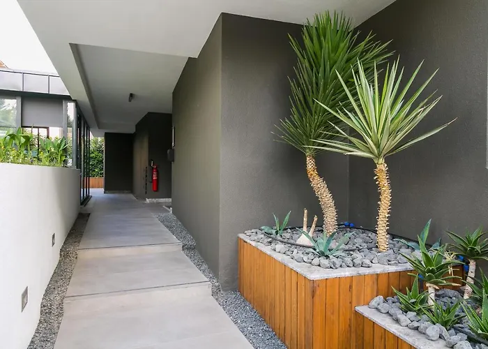 Z-suites 4*