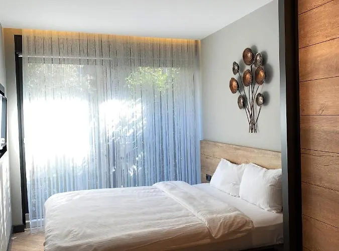 Z-suites