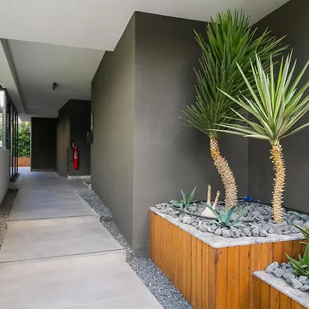 Z-suites 4*