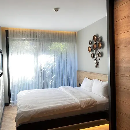 Z-suites