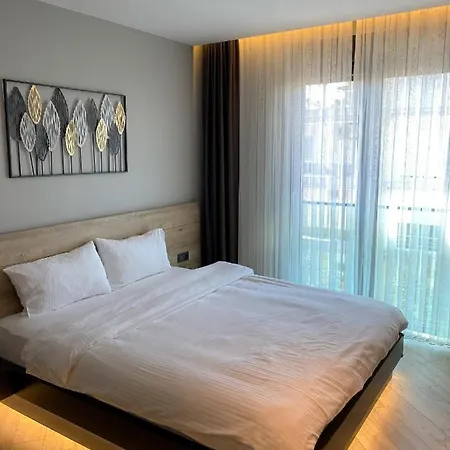 Z-suites 4*